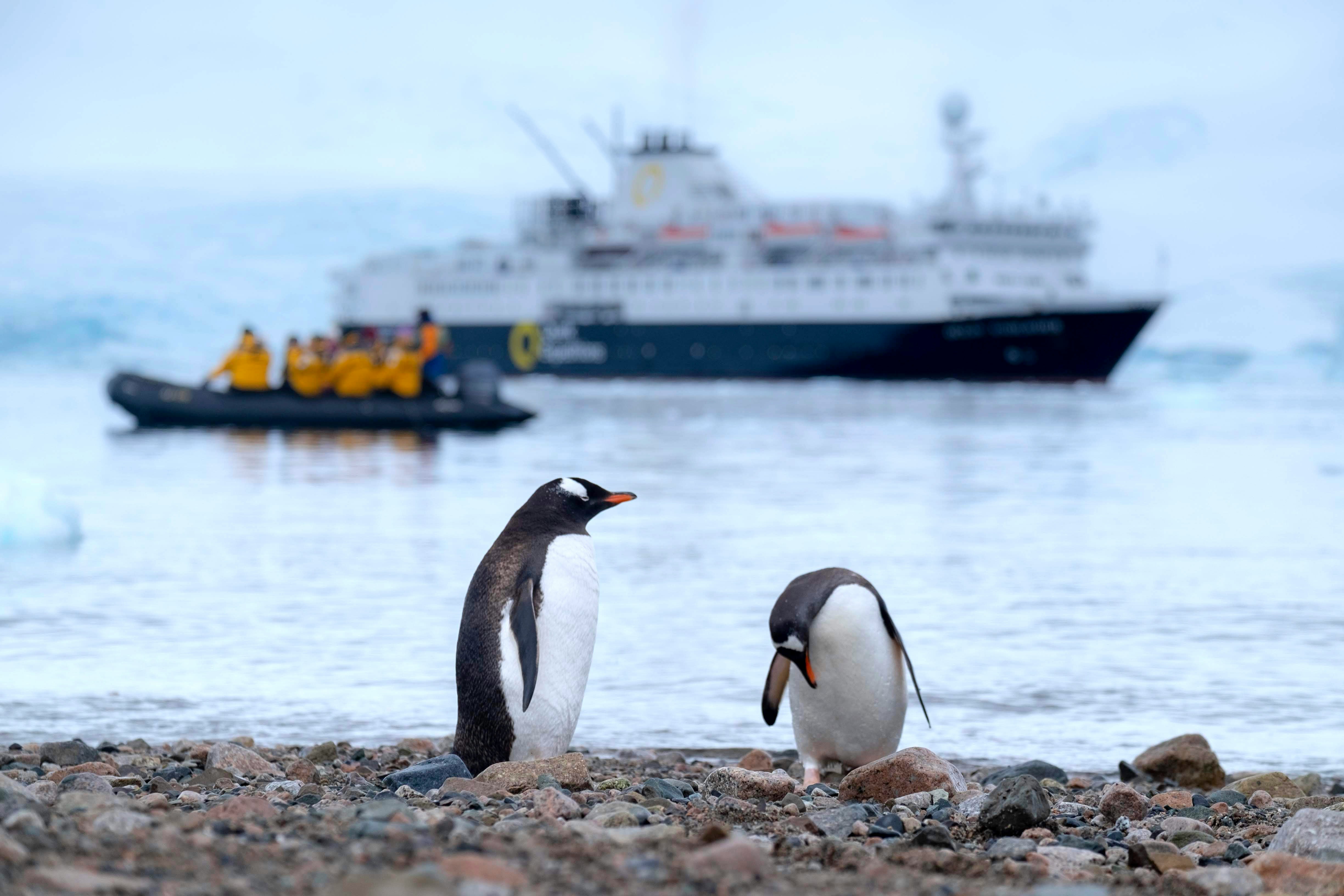Penguins on an Antarctic shore with expedition ship in the background