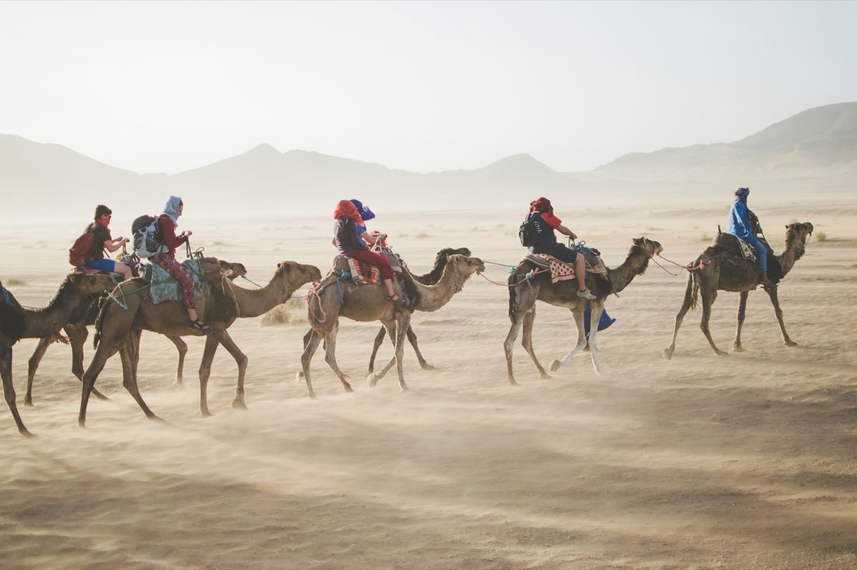 Group of travelers riding camels through the Sahara desert