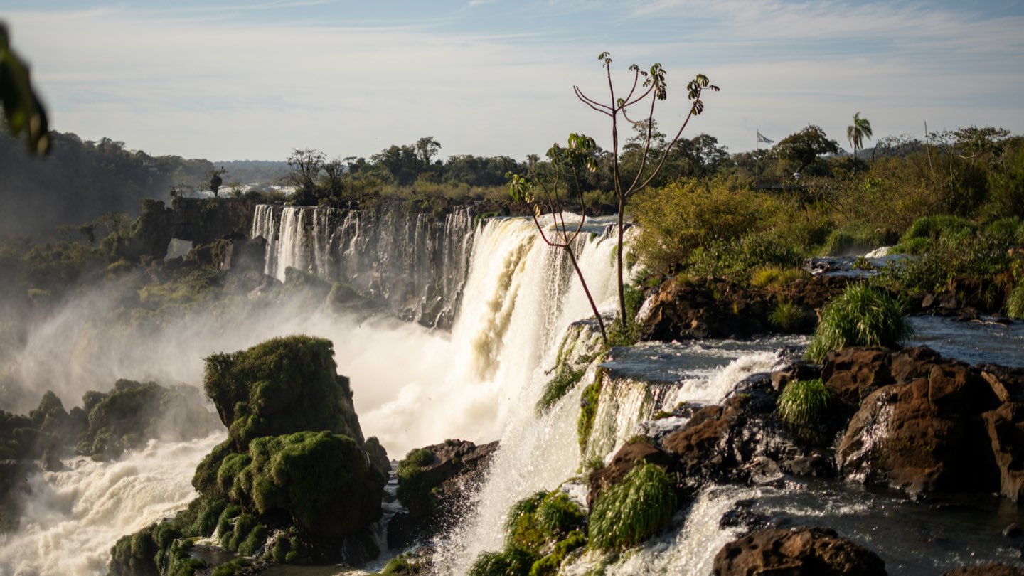 Wide waterfalls thundering over cliffs into subtropical rainforest